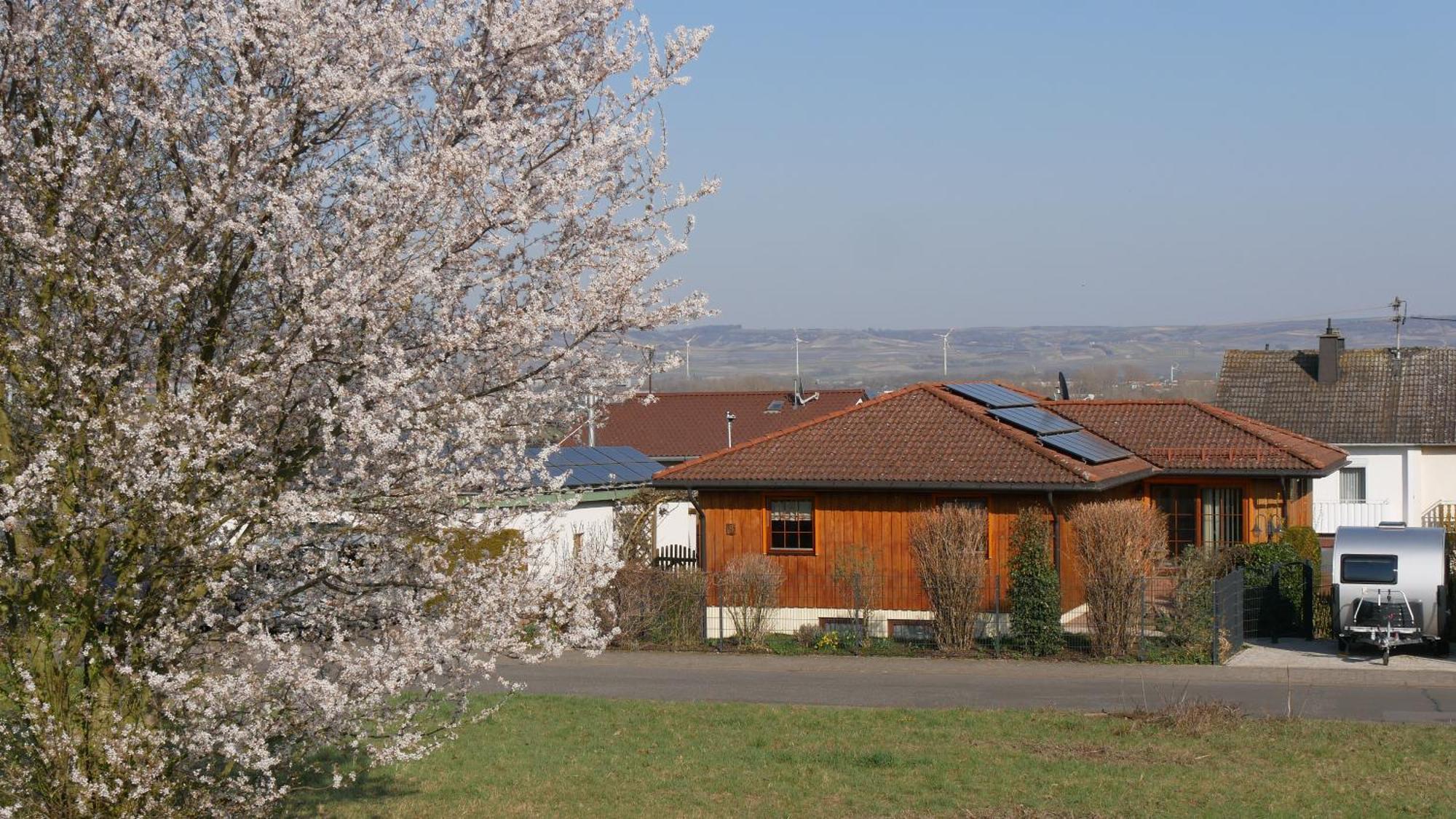 Ferienwohnung An Den Weingaerten Langenlonsheim Kültér fotó